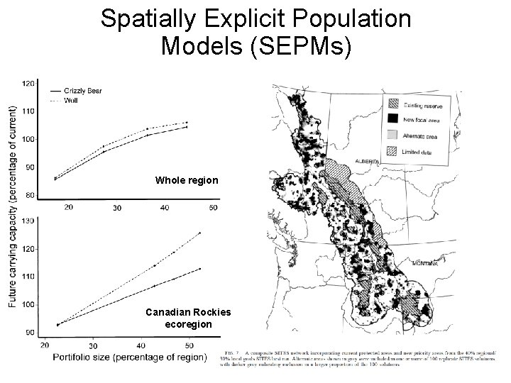 Spatially Explicit Population Models (SEPMs) Whole region Canadian Rockies ecoregion 