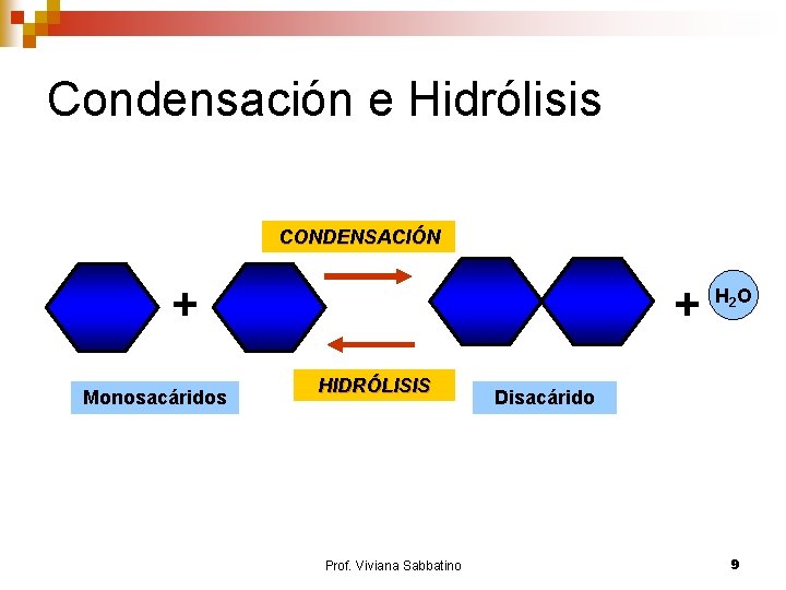 Condensación e Hidrólisis CONDENSACIÓN + Monosacáridos + HIDRÓLISIS Prof. Viviana Sabbatino H 2 O