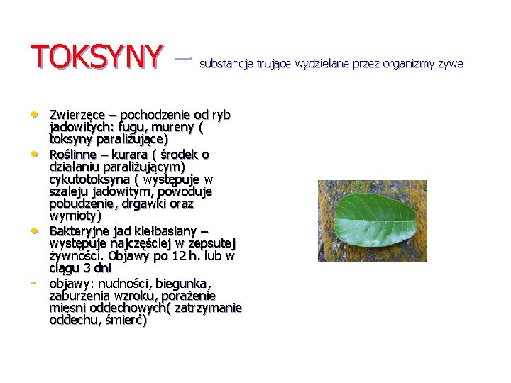 TOKSYNY – substancje trujące wydzielane przez organizmy żywe • Zwierzęce – pochodzenie od ryb