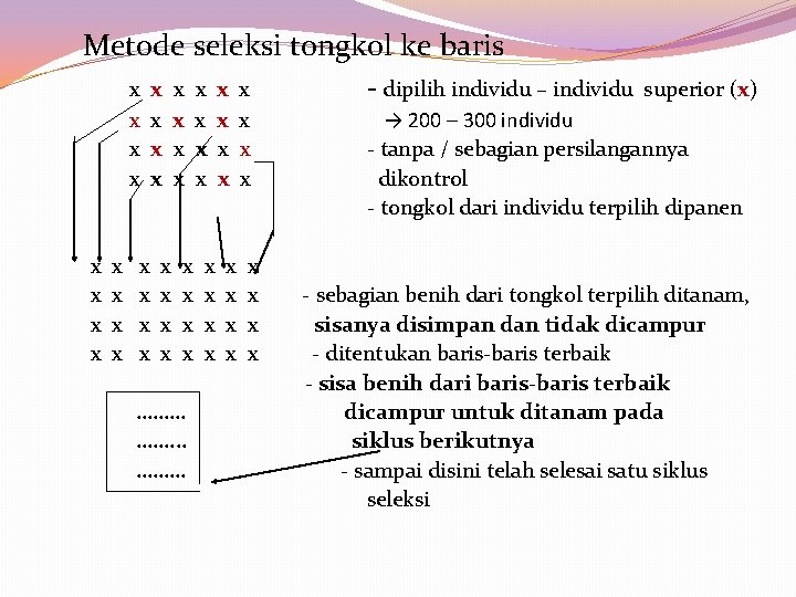 Metode seleksi tongkol ke baris x x x - dipilih individu – individu Metode seleksi tongkol ke baris x x x - dipilih individu – individu