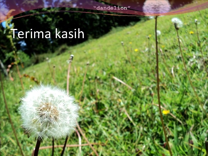Terima kasih Terima kasih
