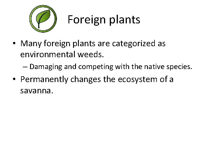 Foreign plants • Many foreign plants are categorized as environmental weeds. – Damaging and