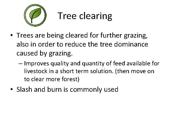 Tree clearing • Trees are being cleared for further grazing, also in order to