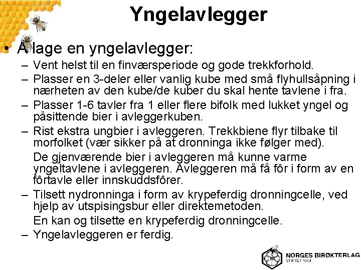 Yngelavlegger • Å lage en yngelavlegger: – Vent helst til en finværsperiode og gode