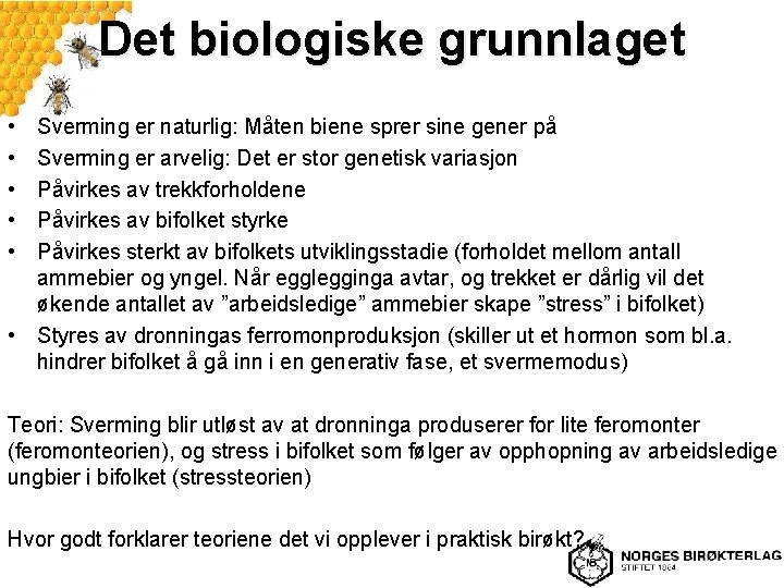 Det biologiske grunnlaget • • • Sverming er naturlig: Måten biene sprer sine gener