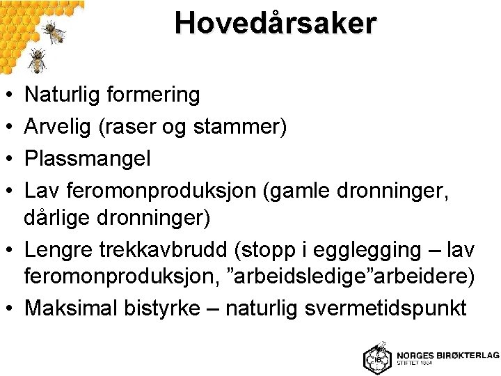 Hovedårsaker • • Naturlig formering Arvelig (raser og stammer) Plassmangel Lav feromonproduksjon (gamle dronninger,