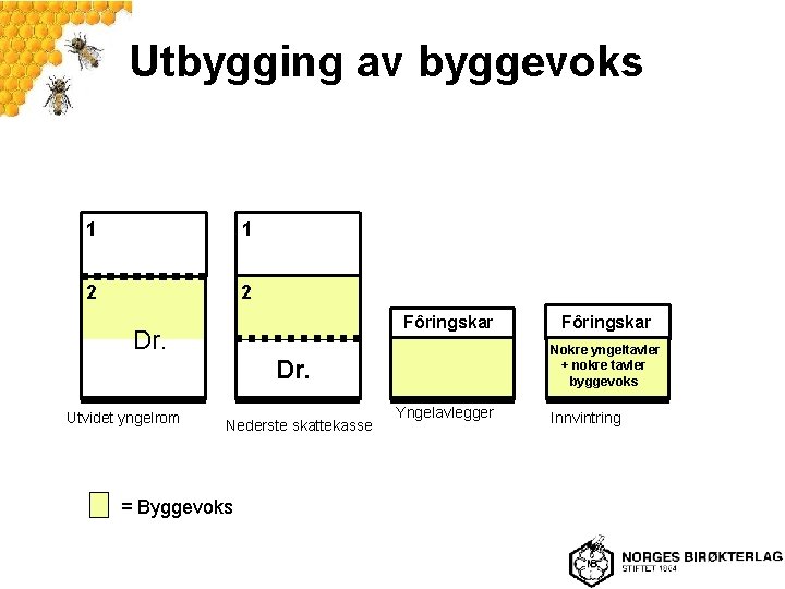 Utbygging av byggevoks 1 1 2 2 Fôringskar Dr. Nokre yngeltavler + nokre tavler