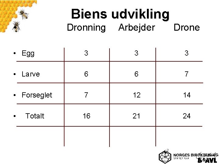 Biens udvikling • Dronning Arbejder Drone • Egg 3 3 3 • Larve 6
