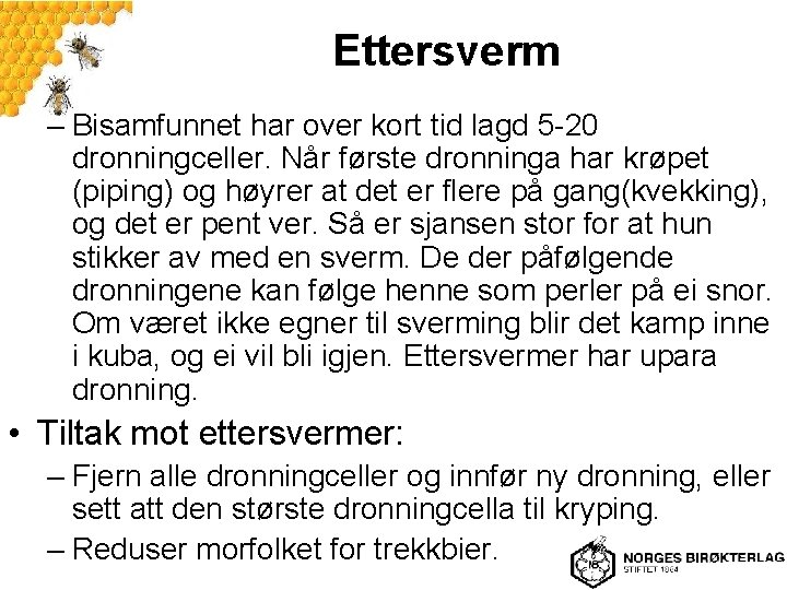 Ettersverm – Bisamfunnet har over kort tid lagd 5 -20 dronningceller. Når første dronninga