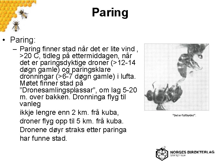 Paring • Paring: – Paring finner stad når det er lite vind , >20