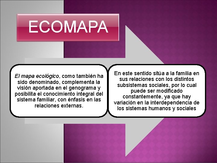 El mapa ecológico, como también ha sido denominado, complementa la visión aportada en el