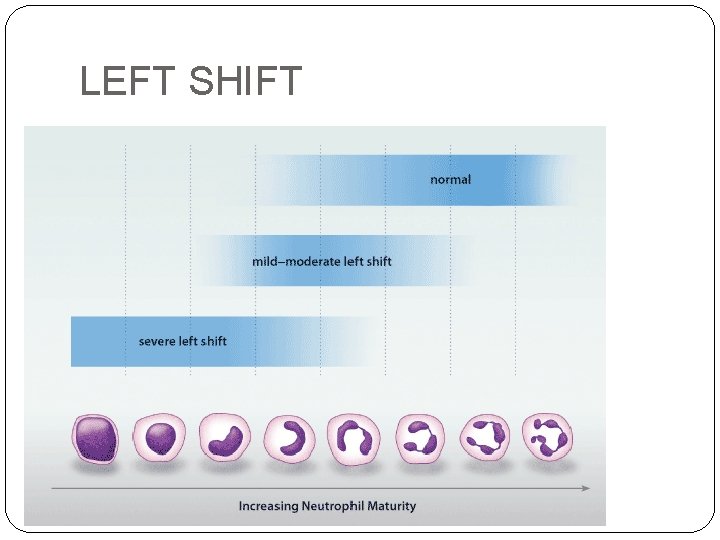 LEFT SHIFT LEFT SHIFT