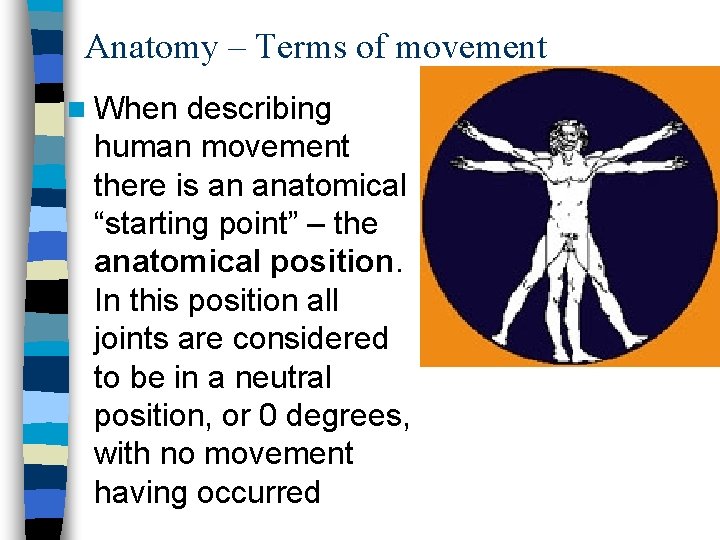 Anatomy – Terms of movement n When describing human movement there is an anatomical