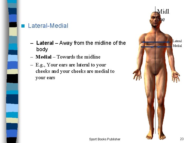 n Midl ine Lateral-Medial – Lateral – Away from the midline of the body