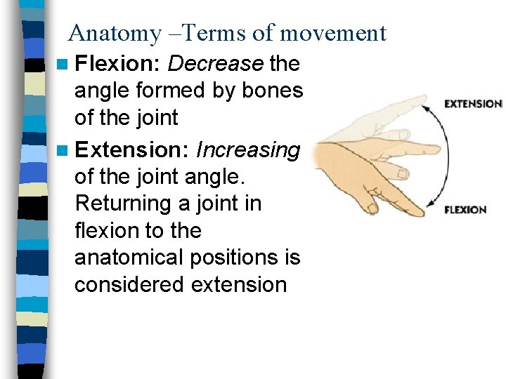 Anatomy –Terms of movement n Flexion: Decrease the angle formed by bones of the
