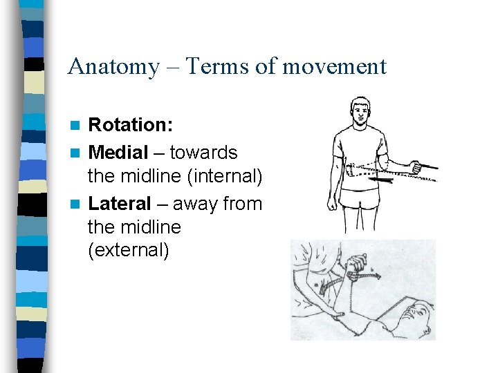 Anatomy – Terms of movement Rotation: n Medial – towards the midline (internal) n