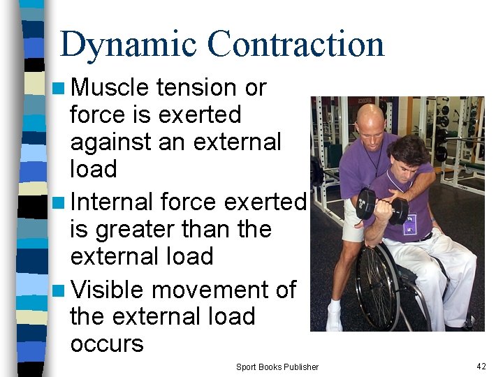 Dynamic Contraction n Muscle tension or force is exerted against an external load n