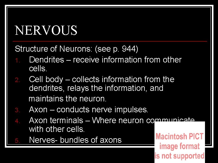 NERVOUS Structure of Neurons: (see p. 944) 1. Dendrites – receive information from other