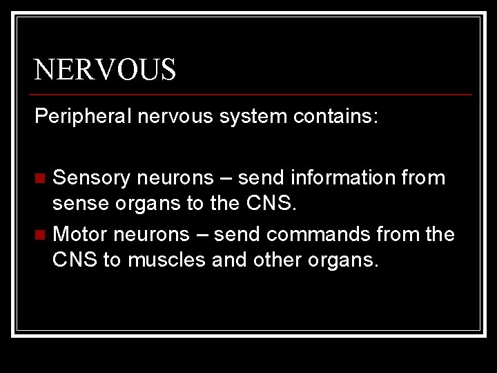 NERVOUS Peripheral nervous system contains: Sensory neurons – send information from sense organs to