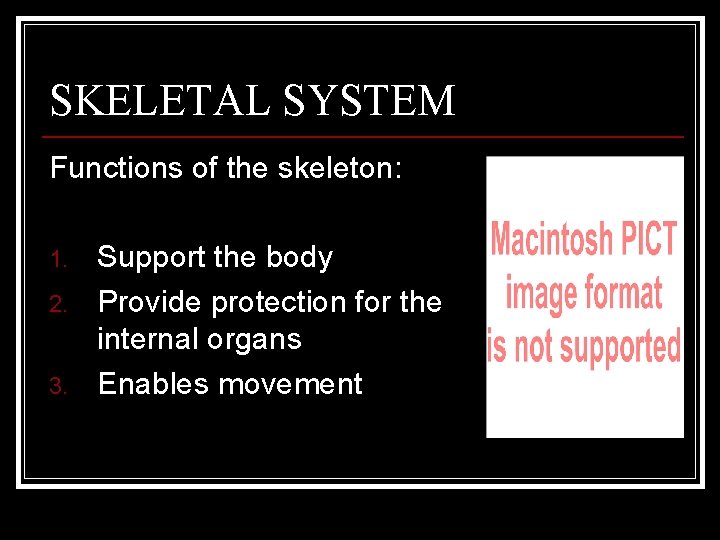 SKELETAL SYSTEM Functions of the skeleton: 1. 2. 3. Support the body Provide protection