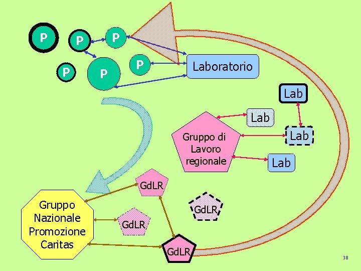 P P P Laboratorio Lab Gruppo di Lavoro regionale Lab Gd. LR Gruppo Nazionale