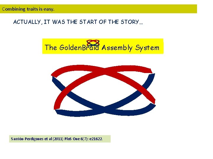Combining traits is easy. ACTUALLY, IT WAS THE START OF THE STORY… The Golden.
