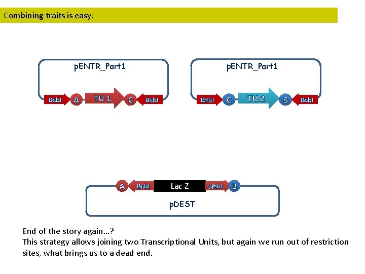 Combining traits is easy. Golden. Braid assembly p. ENTR_Part 1 Bsb. I A TU