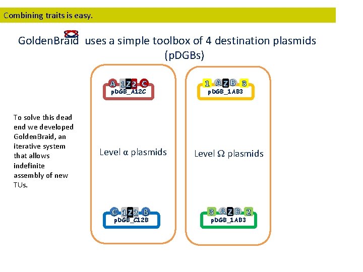Combining traits is easy. Golden. Braid uses a simple toolbox of 4 destination plasmids