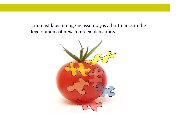 …. in most labs multigene assembly is a bottleneck in the development of new
