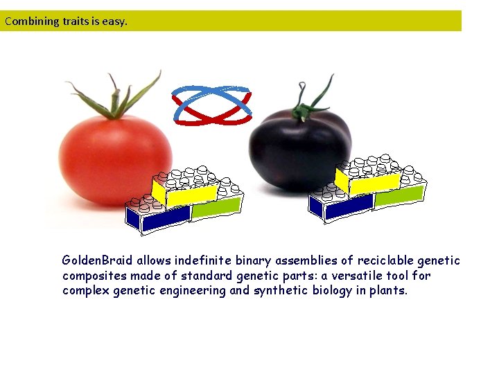 Combining traits is easy. Golden. Braid allows indefinite binary assemblies of reciclable genetic composites