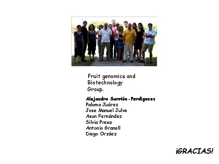 Fruit genomics and Biotechnology Group. Alejandro Sarrión-Perdigones Paloma Juárez Jose Manuel Julve Asun Fernández