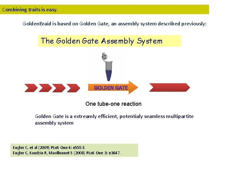 Combining traits is easy. Golden. Braid is based on Golden Gate, an assembly system
