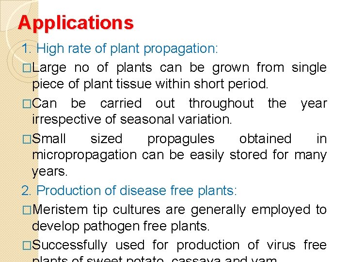 Applications 1. High rate of plant propagation: �Large no of plants can be grown