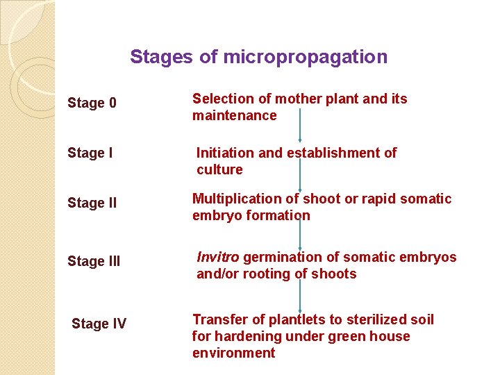 Stages of micropropagation Stage 0 Selection of mother plant and its maintenance Stage I