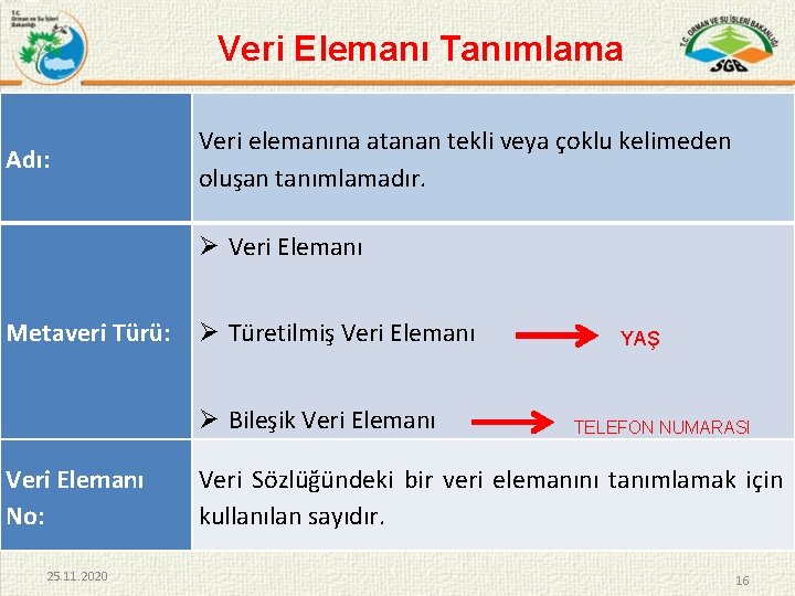 Veri Elemanı Tanımlama Adı: Veri elemanına atanan tekli veya çoklu kelimeden oluşan tanımlamadır. Veri