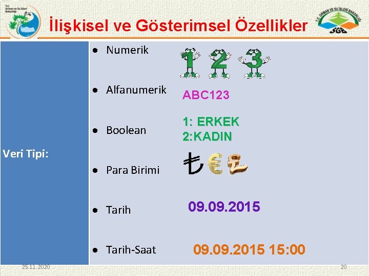  İlişkisel ve Gösterimsel Özellikler Numerik Alfanumerik ABC 123 Boolean 1: ERKEK 2: KADIN