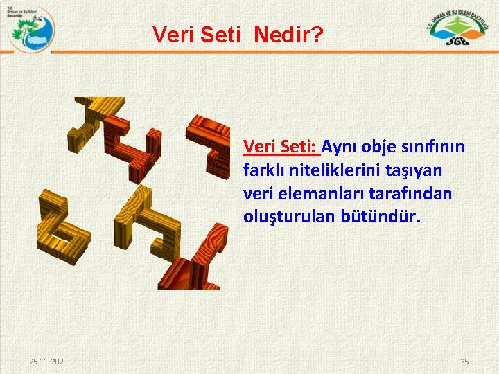 Veri Seti Nedir? Veri Seti: Aynı obje sınıfının farklı niteliklerini taşıyan veri elemanları tarafından