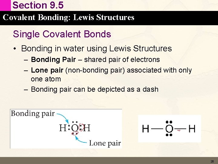 Section 9. 5 Covalent Bonding: Lewis Structures Single Covalent Bonds • Bonding in water