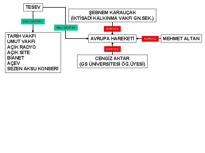 TESEV ŞEBNEM KARAUÇAK (İKTİSADİ KALKINMA VAKFI GN. SEK. ) MALİ DESTEK TARİH VAKFI UMUT