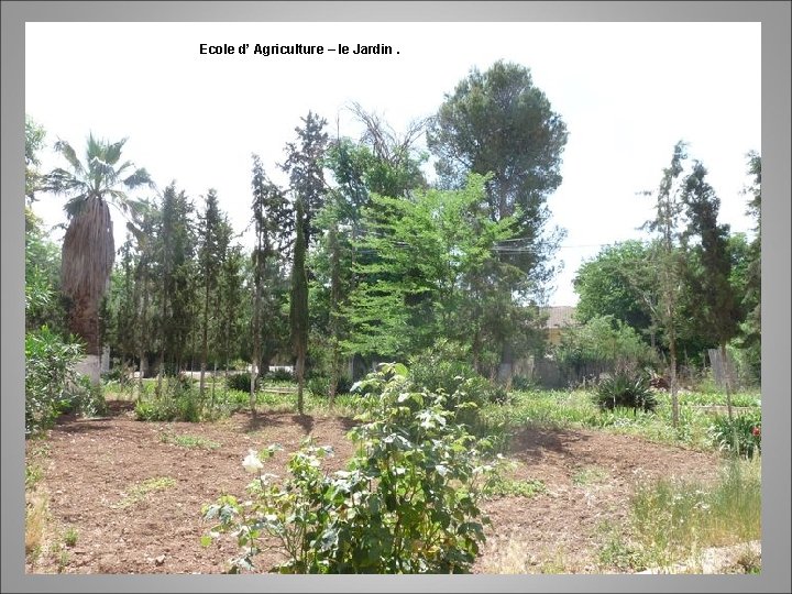 Ecole d’ Agriculture – le Jardin. 