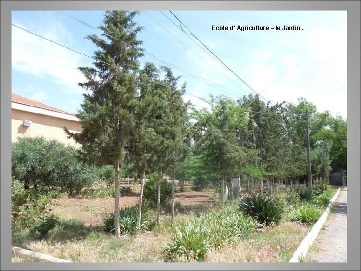 Ecole d’ Agriculture – le Jardin. 