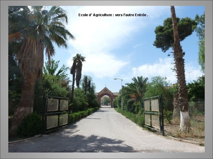 Ecole d’ Agriculture : vers l’autre Entrée. 