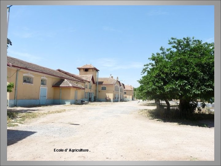 Ecole d’ Agriculture. 