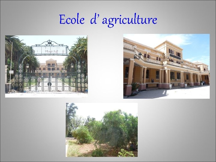 Ecole d’ agriculture 