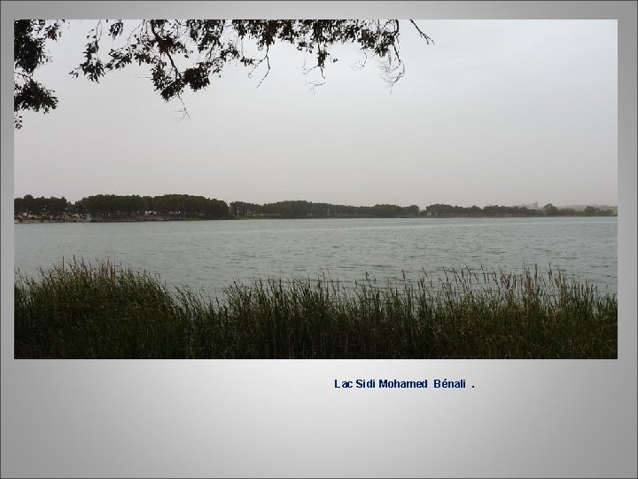 Lac Sidi Mohamed Bénali. 