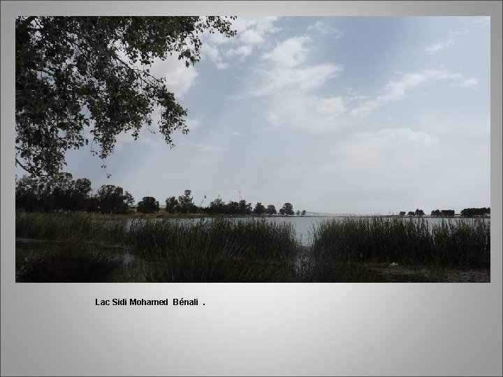 Lac Sidi Mohamed Bénali. 