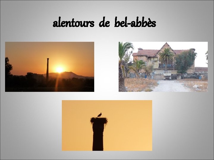 alentours de bel-abbès 