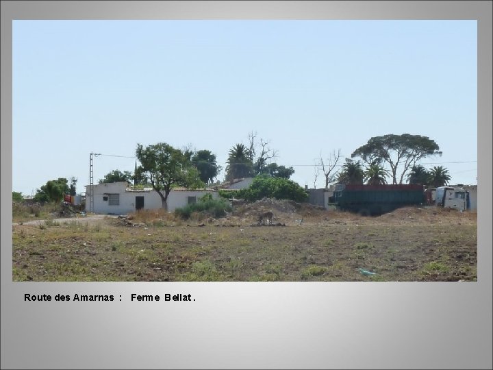 Route des Amarnas : Ferme Bellat. 