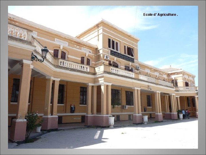 Ecole d’ Agriculture. 