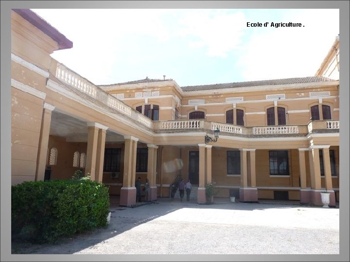 Ecole d’ Agriculture. 